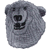 Polar Bear head
