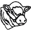 Cow Head Outline  - smaller