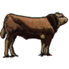Small Cow