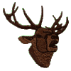 Elk Head