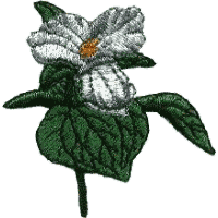 Ontario Flower (White Trillium)