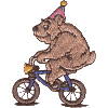 Bicycle Bear