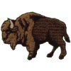 Buffalo Profile