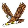 Eagle Carrying Diploma