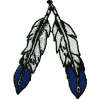 Indian Feather