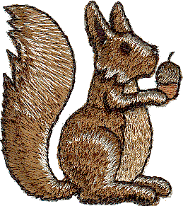 Squirrel With Acorn