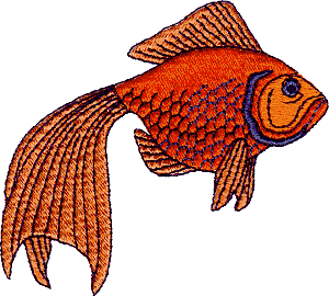 Fan Fish Tail