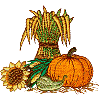 Fall Harvest