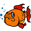 Cartoon Goldfish