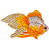 Large Goldfish