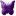 Grapes - purple