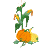 Corn Stalk & Pumpkin