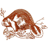 Beaver (outline)