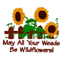 May all your weeds be wildflowers 