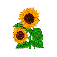 Sunflowers, pair