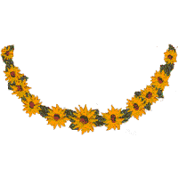Sunflowers, half-circle