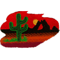 Desert cactus scene
