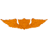 Army Wings