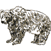Bear (outline)
