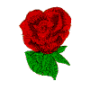 Rose Set: single