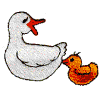 Ducks (mama & baby)