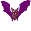 Bat (little)