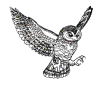 Owl (outline)