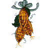 Fall Set: Corn Bouquet