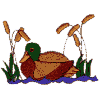 Duck with Cattails