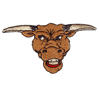 Bull's Face  Larger