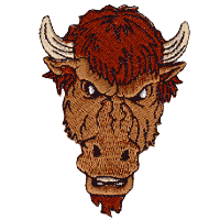 Bison Face (Head on) Larger