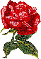 Rose (Shaded) - Large