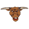 Bull's Face  Larger