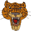 Leopard Mascot - larger