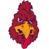 Gamecock- Front View (small)