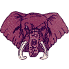 Elephant head - larger