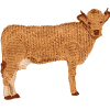 Cow: Tarentaise
