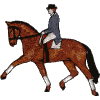 Dressage Horse & Rider